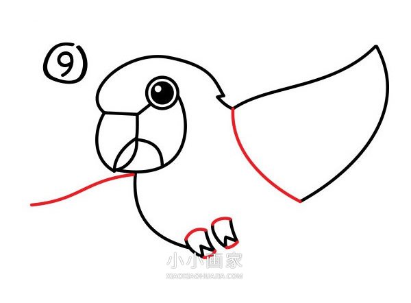 飞起的鹦鹉简笔画画法图片步骤步骤10
