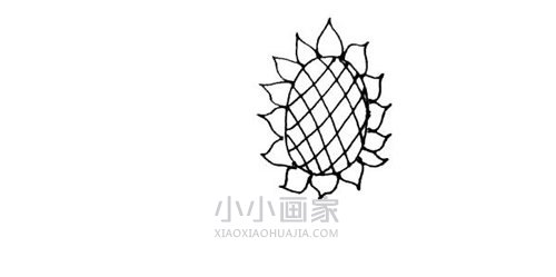 两棵向日葵简笔画画法图片步骤步骤5