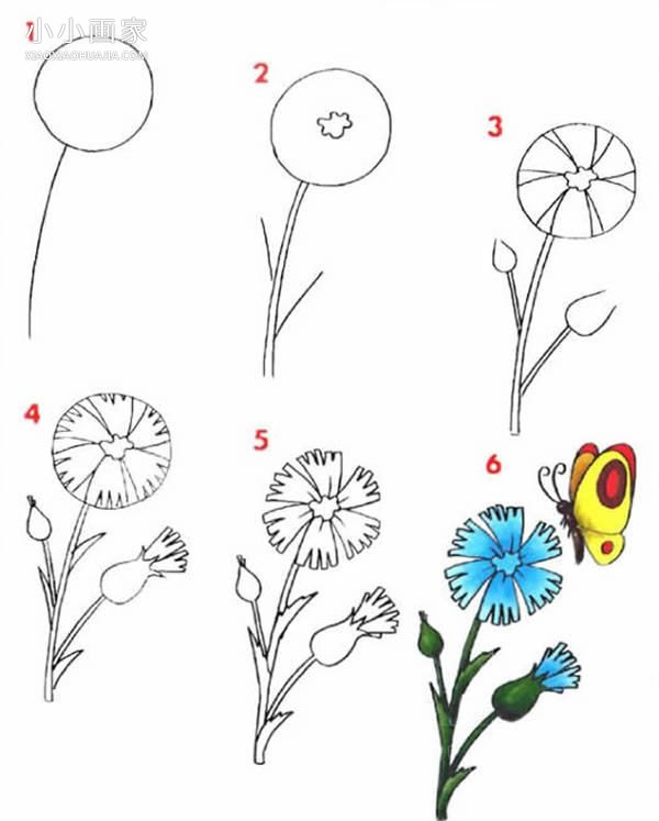 可爱小花简笔画画法图片步骤步骤1
