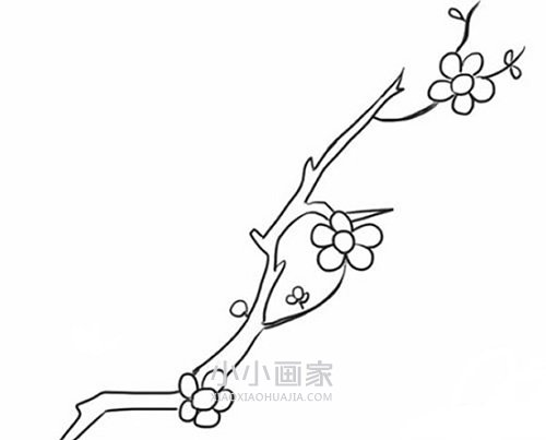 简单梅花简笔画画法图片步骤步骤1