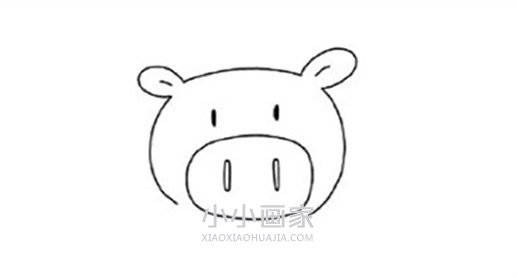 猪年卡通小猪简笔画画法图片步骤步骤4