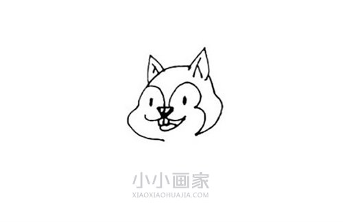 开心的松鼠简笔画画法图片步骤步骤3