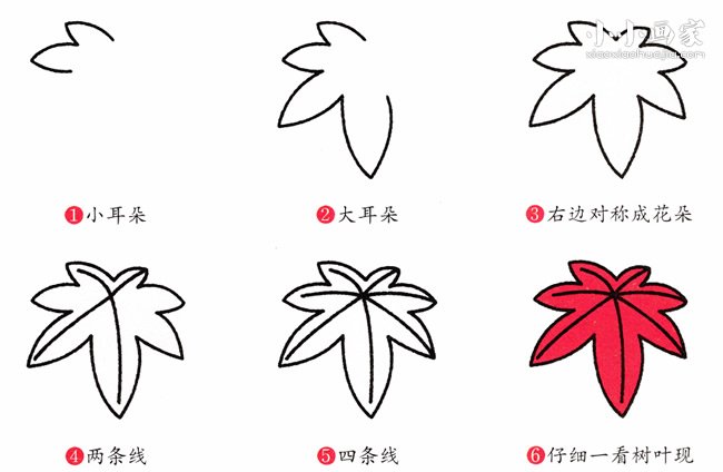 绘本故事火红枫叶简笔画画法图片步骤
