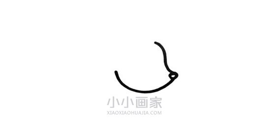 小小刺猬先生简笔画画法图片步骤步骤2