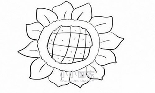 简单向日葵简笔画画法图片步骤步骤5