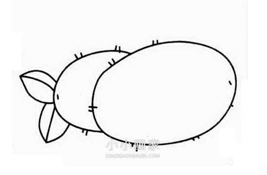 绘本故事简单猕猴桃简笔画画法图片步骤