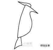简单的啄木鸟简笔画画法图片步骤步骤3
