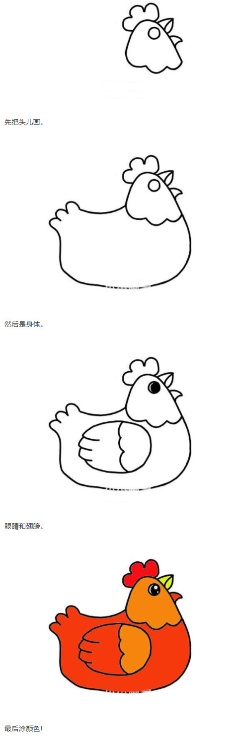 孵蛋老母鸡怎么画涂色 母鸡简笔画图片步骤1