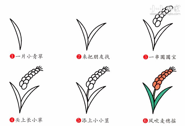 彩色麦穗简笔画画法图片步骤步骤2