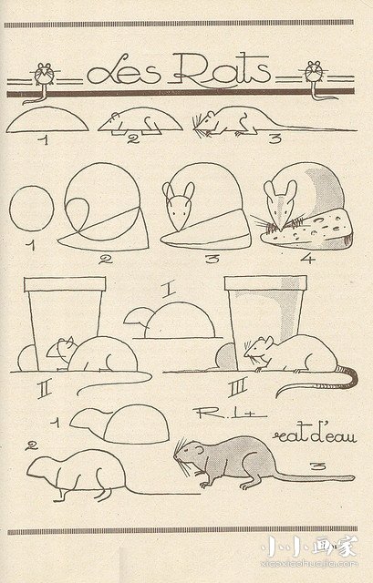 绘本故事简单老鼠简笔画画法图片步骤