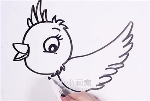 可爱小鸟简笔画画法图片步骤步骤6
