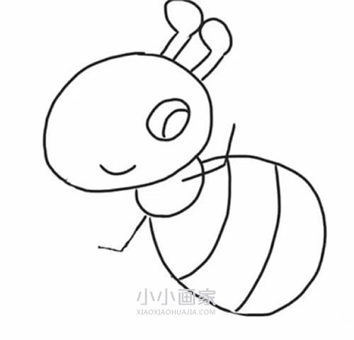 打招呼的小蚂蚁简笔画画法图片步骤步骤6