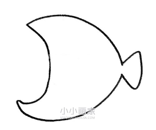 简单灯笼鱼简笔画画法图片步骤步骤2