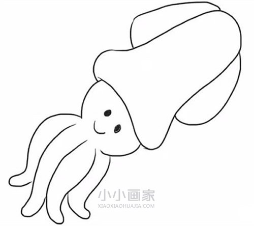 可爱乌贼简笔画画法图片步骤步骤6