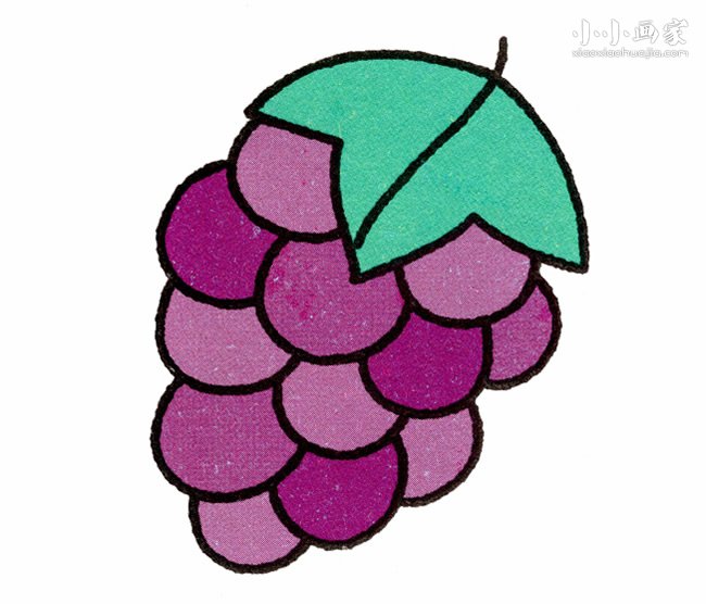 一串葡萄的简笔画画法图片步骤步骤1