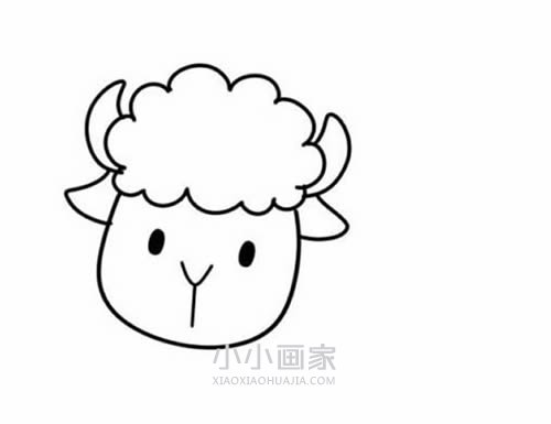 彩色卡通小绵羊简笔画画法图片步骤步骤4