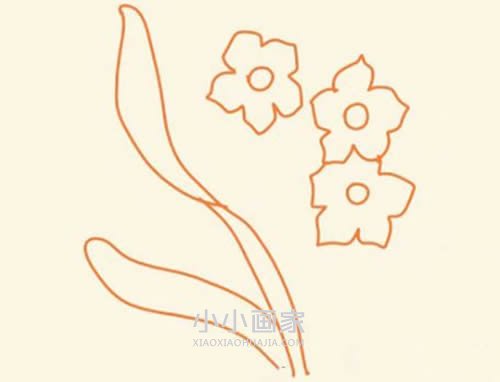 简单水仙花简笔画画法图片步骤步骤5