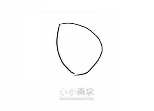 彩色郁金香简笔画画法图片步骤步骤2