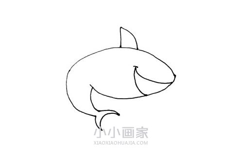 水中鲨鱼简笔画画法图片步骤步骤4