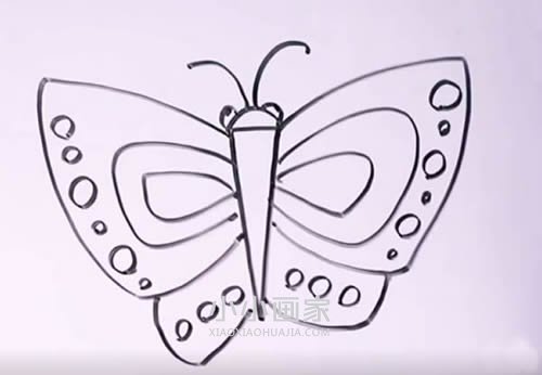 绘本故事大翅膀蝴蝶简笔画画法图片步骤
