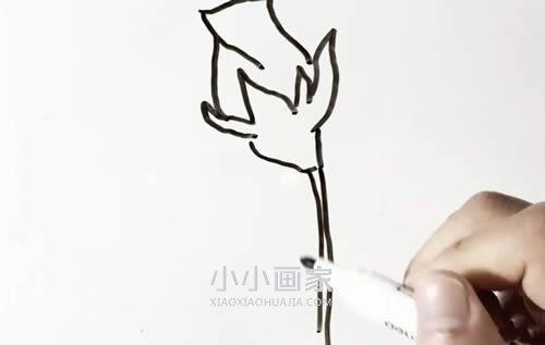 简单玫瑰花简笔画画法图片步骤步骤3