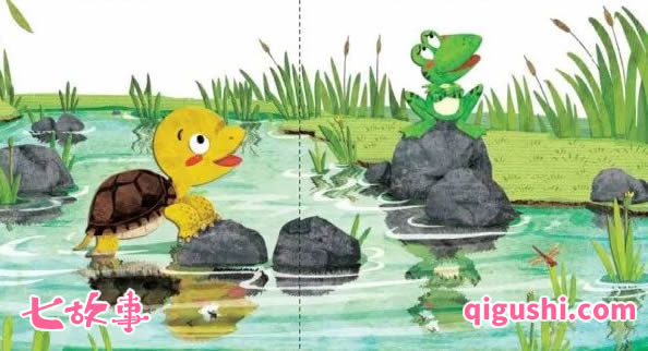 绘本故事《青蛙(frog)的乌龟(tortoise)朋友》
