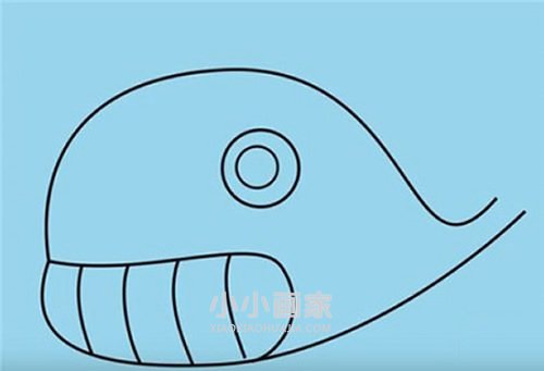 搞笑卡通鲸鱼简笔画画法图片步骤步骤5