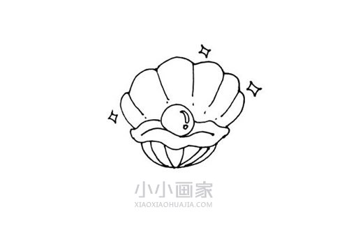 珍珠贝壳简笔画画法图片步骤步骤6