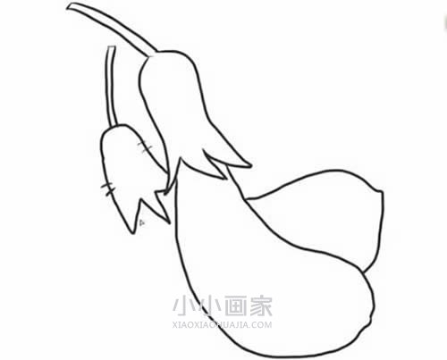 两只茄子简笔画画法图片步骤步骤7