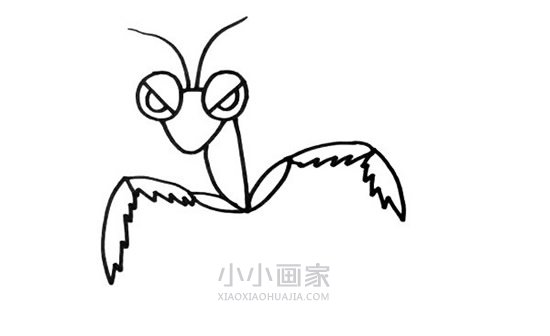 霸气螳螂简笔画画法图片步骤步骤3