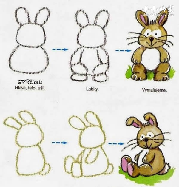 绘本故事两种兔子的简笔画画法图片步骤