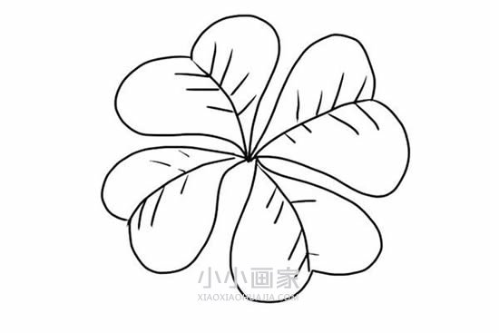 四叶草简笔画画法图片步骤步骤6