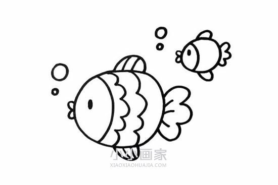 两条可爱小鱼简笔画画法图片步骤步骤5