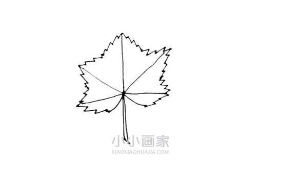 两片枫叶简笔画画法图片步骤步骤5