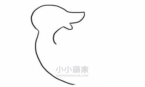 回头望的鸭子简笔画画法图片步骤步骤2