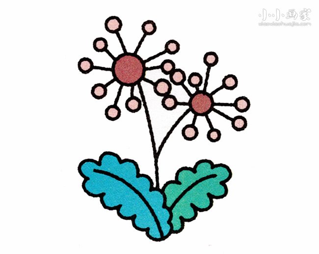 彩色蒲公英简笔画画法图片步骤步骤1