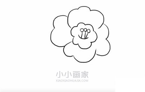 简单山茶花简笔画画法图片步骤步骤5