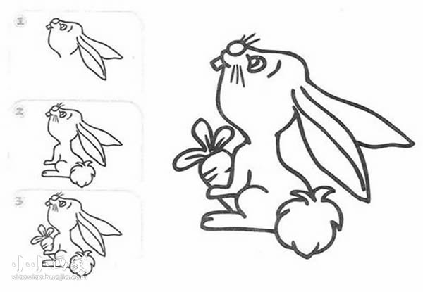 绘本故事抱着大萝卜的兔子简笔画画法图片步骤