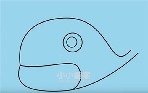 搞笑卡通鲸鱼简笔画画法图片步骤步骤4