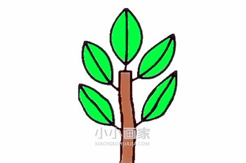 绘本故事可爱小树苗简笔画画法图片步骤