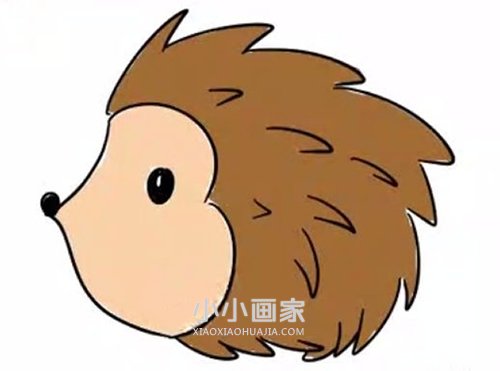 绘本故事彩色小刺猬简笔画画法图片步骤