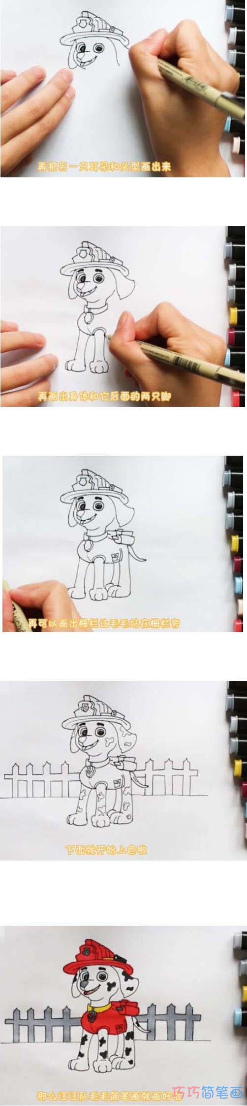 二年级汪汪队毛毛简笔画怎么画涂色简单步骤步骤1