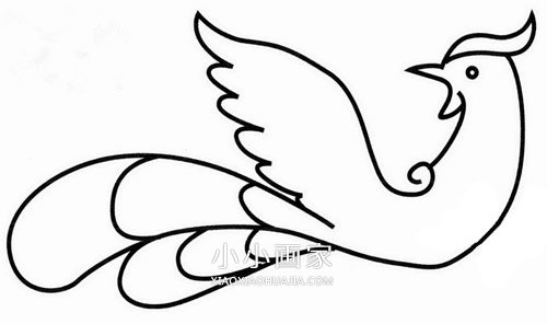 美丽凤凰简笔画画法图片步骤步骤1