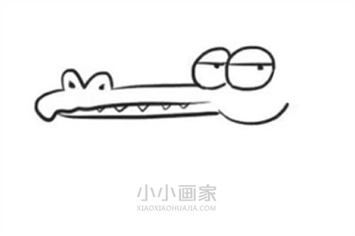 古怪的卡通鳄鱼简笔画画法图片步骤步骤4