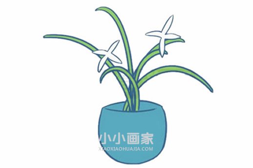 绘本故事彩色兰花简笔画画法图片步骤