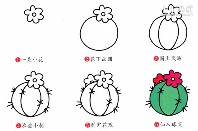 绘本故事开花的仙人球简笔画画法图片步骤