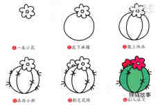 绘本故事开花的仙人球简笔画画法图片步骤