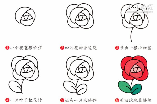 绘本故事红色玫瑰简笔画画法图片步骤