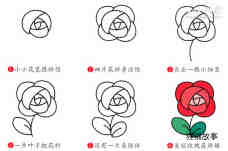 红色玫瑰简笔画画法图片步骤步骤2