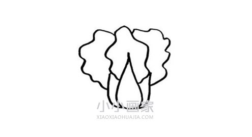 卡通大白菜简笔画画法图片步骤步骤4